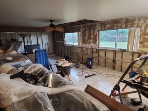 mold removal Merritt island